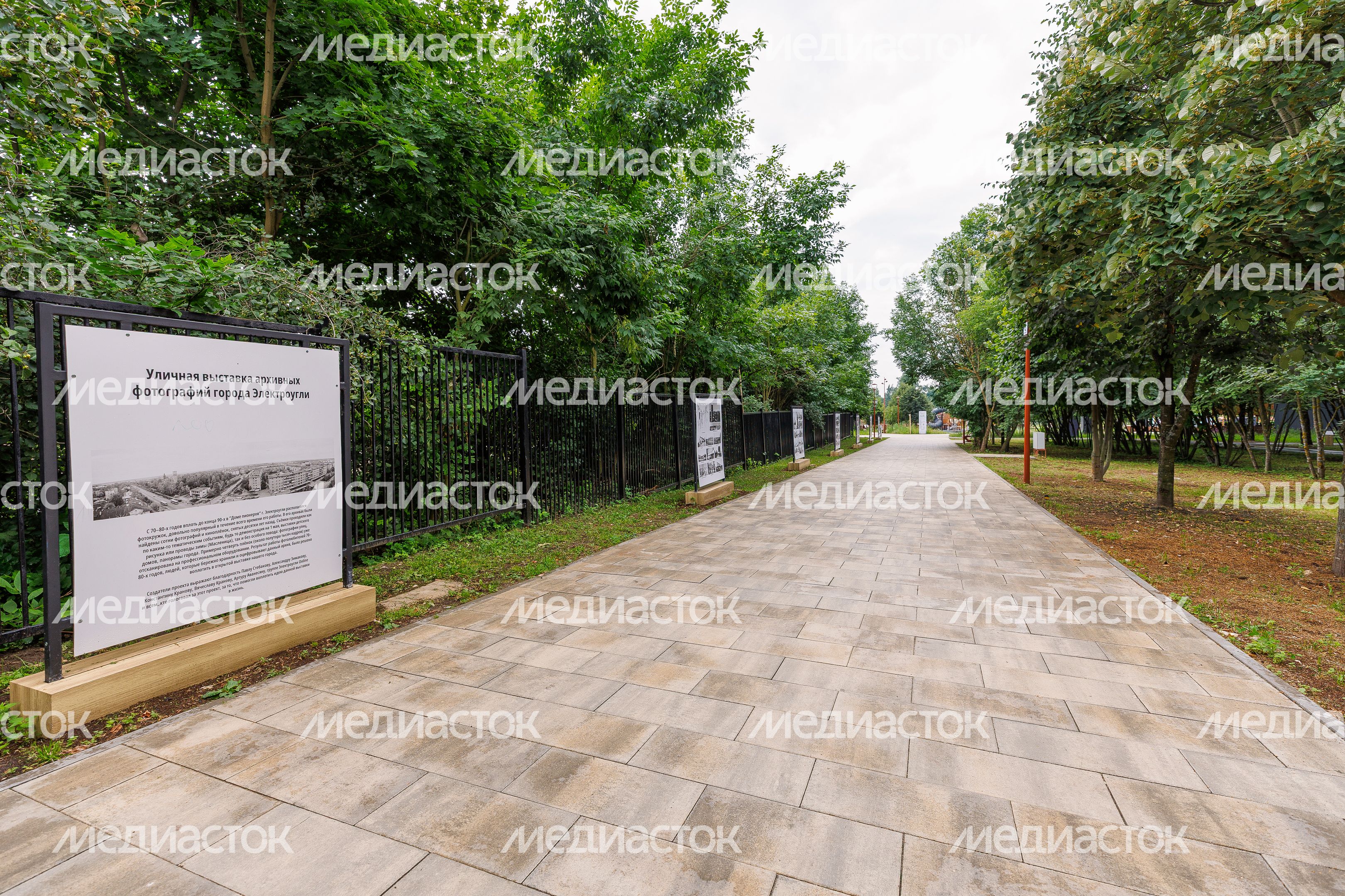 Парк "Липовая аллея" в Электроуглях