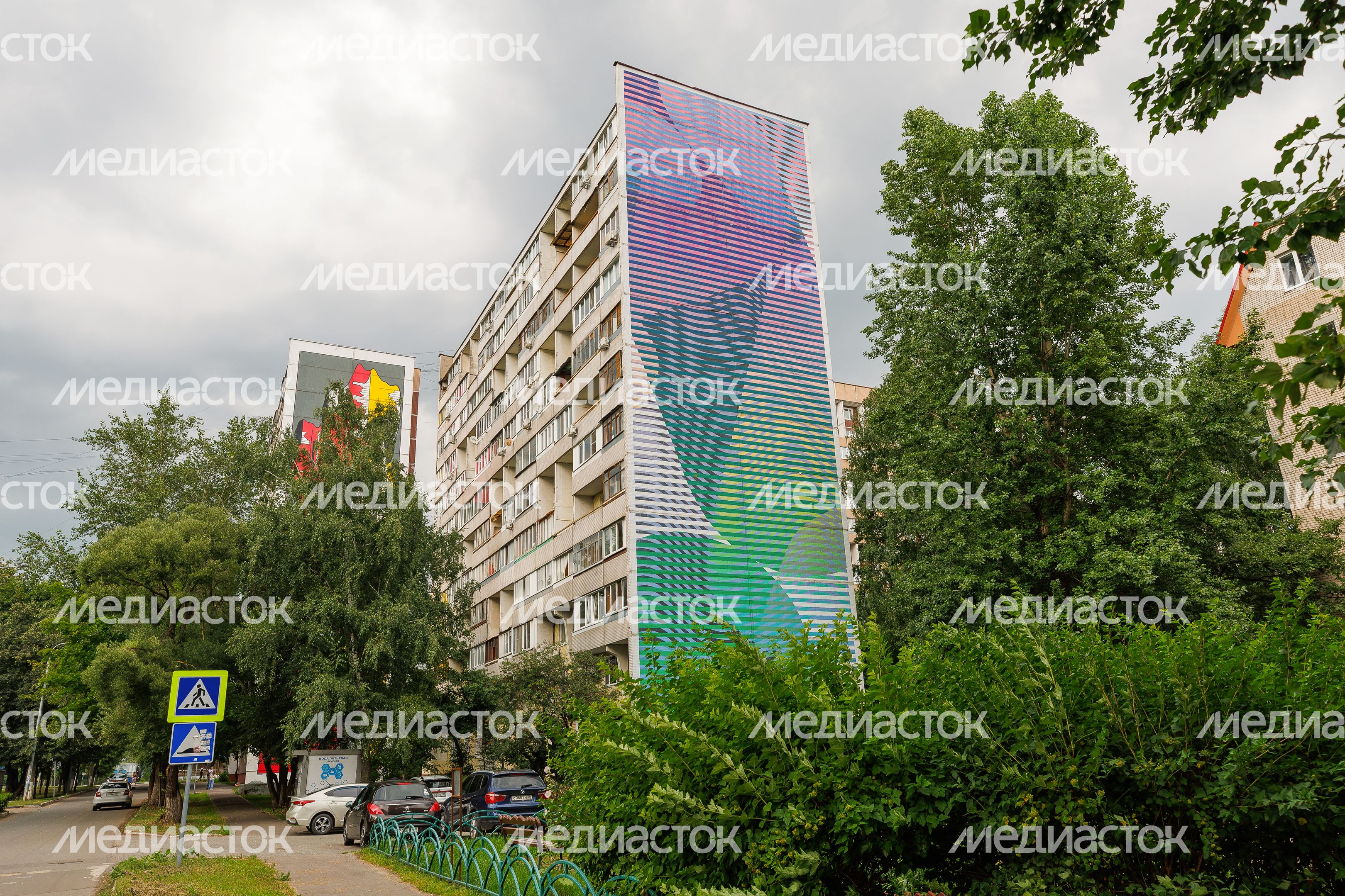 Муралы в Железнодорожном, Балашиха