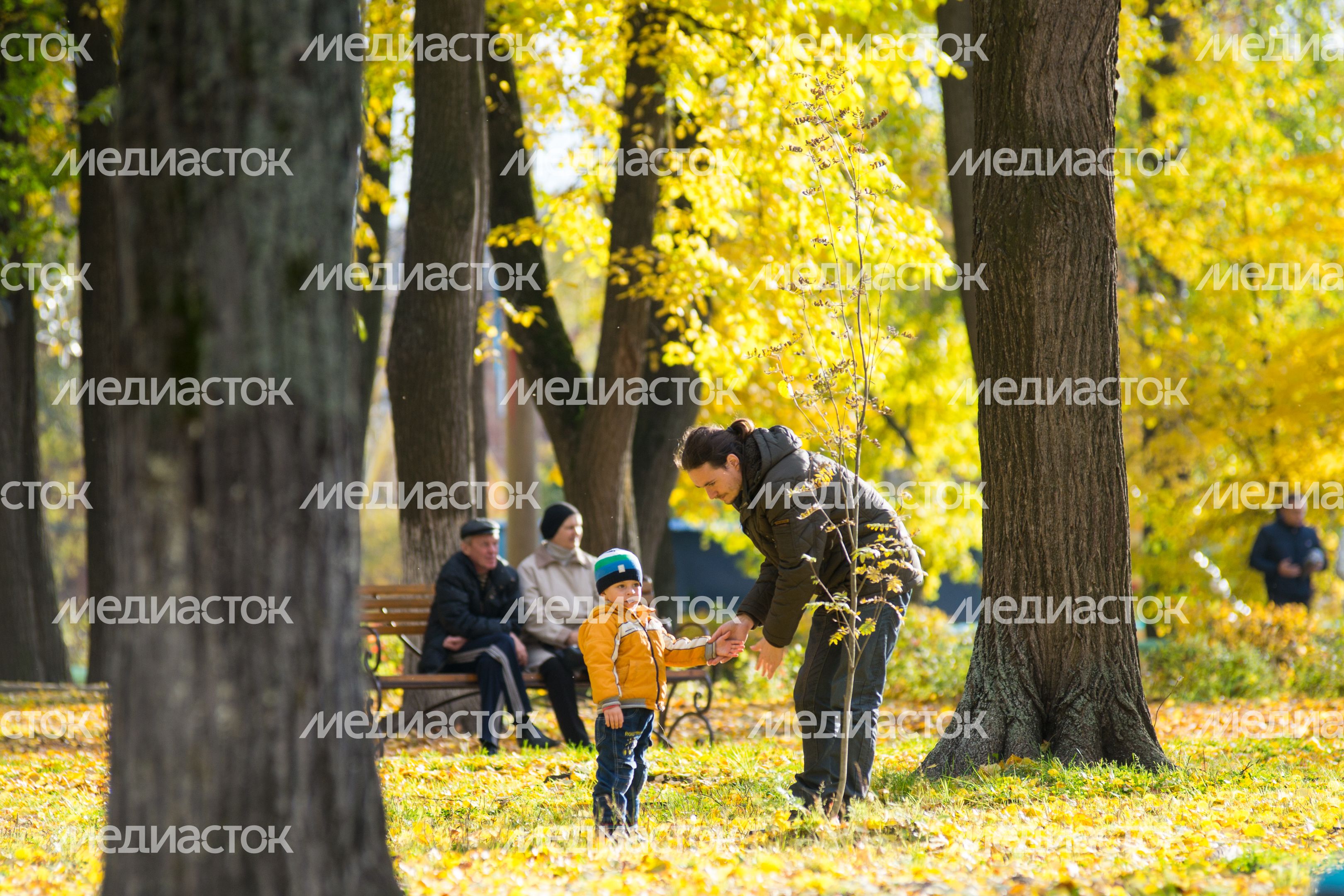 Осень в Подмосковье