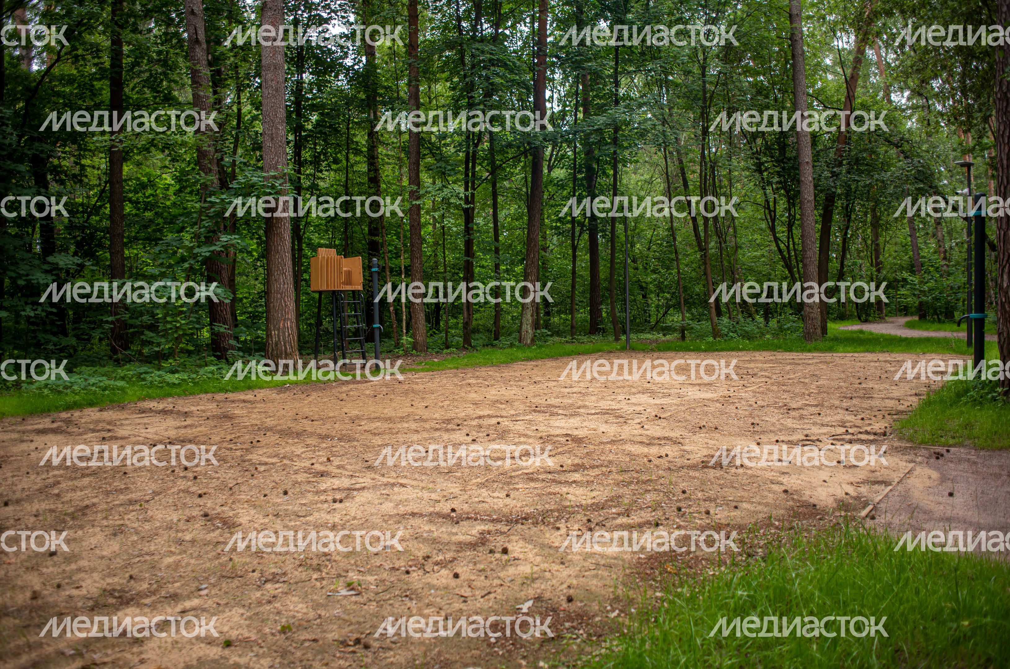 Летние виды Парка Малевича