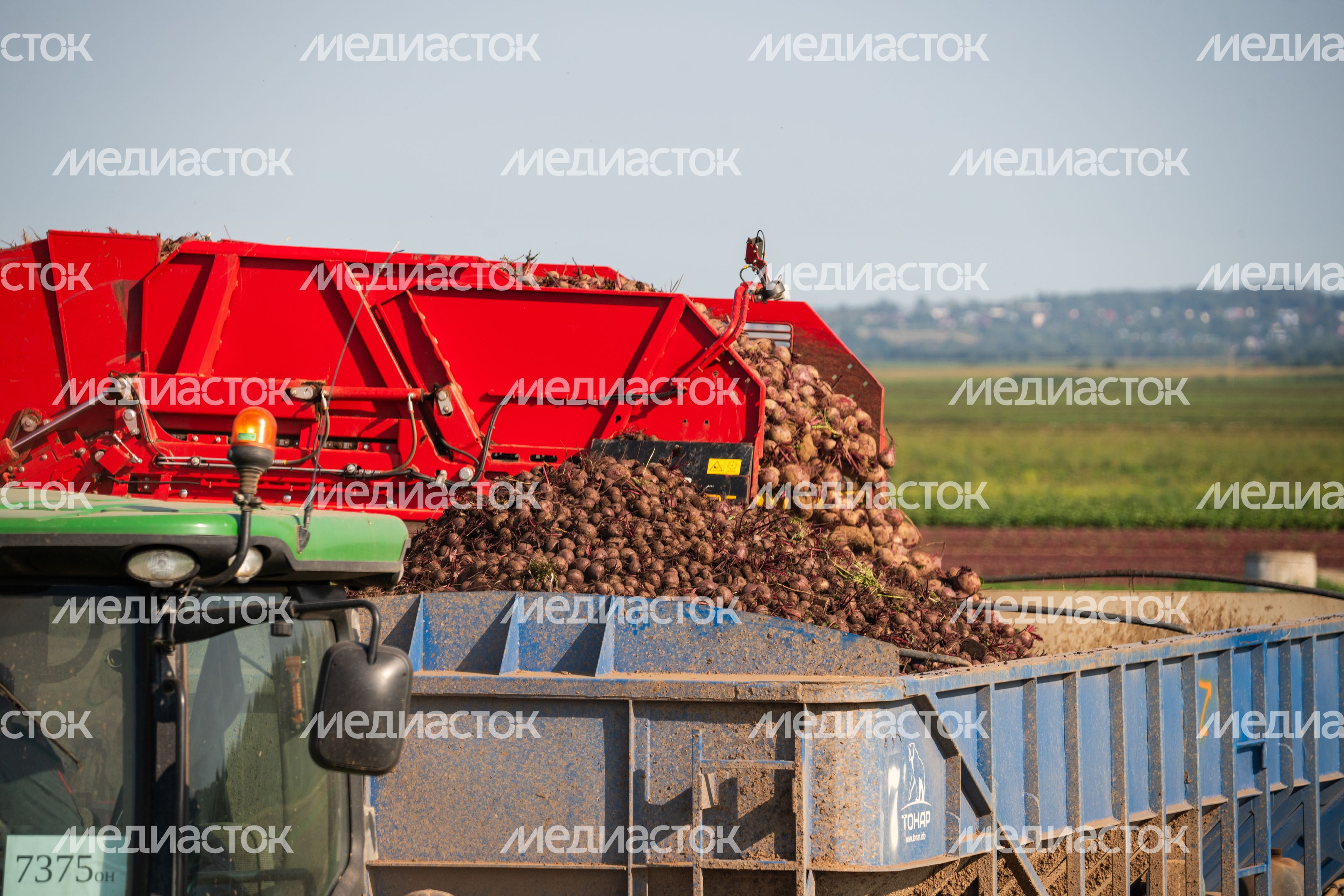 Уборка урожая на полях ГК "Дмитровские овощи" Уборка урожая на полях ГК "Дмитровские овощи"