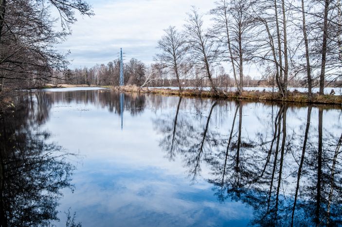 Виды города Электрогорск