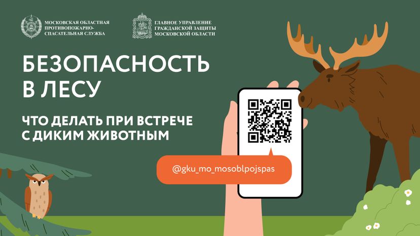 Горизонтали Безопасность в лесу 01.jpg