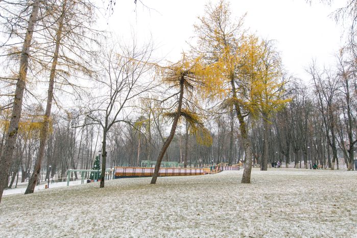 Раменское. Городской парк культуры и отдыха. Зима
