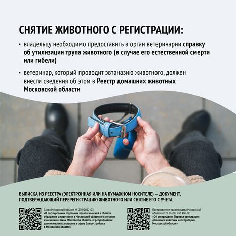 Зарегистрировать домашнее животное ред 2-квадрат-10.png