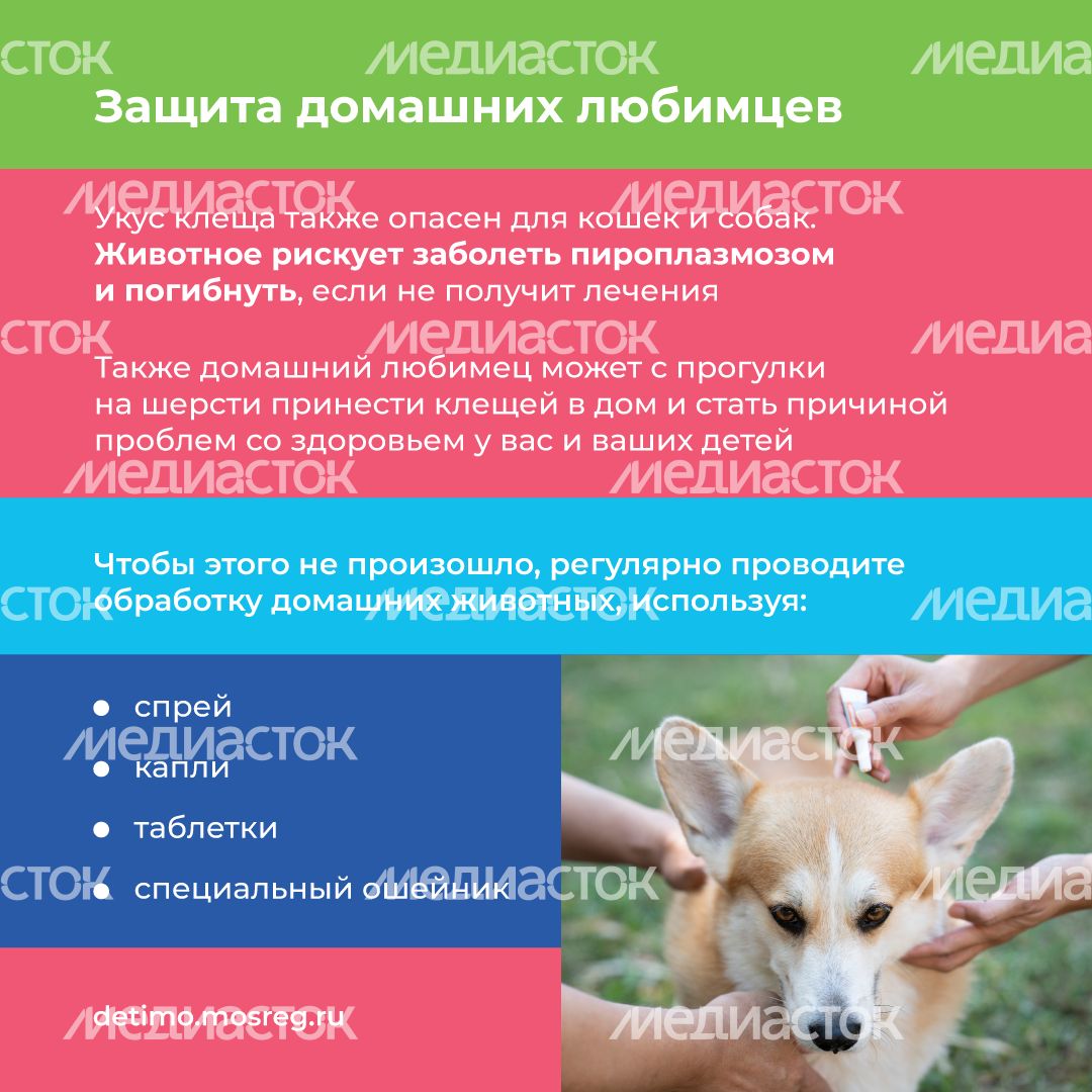 Квадрат осторожно клещи 10.png
