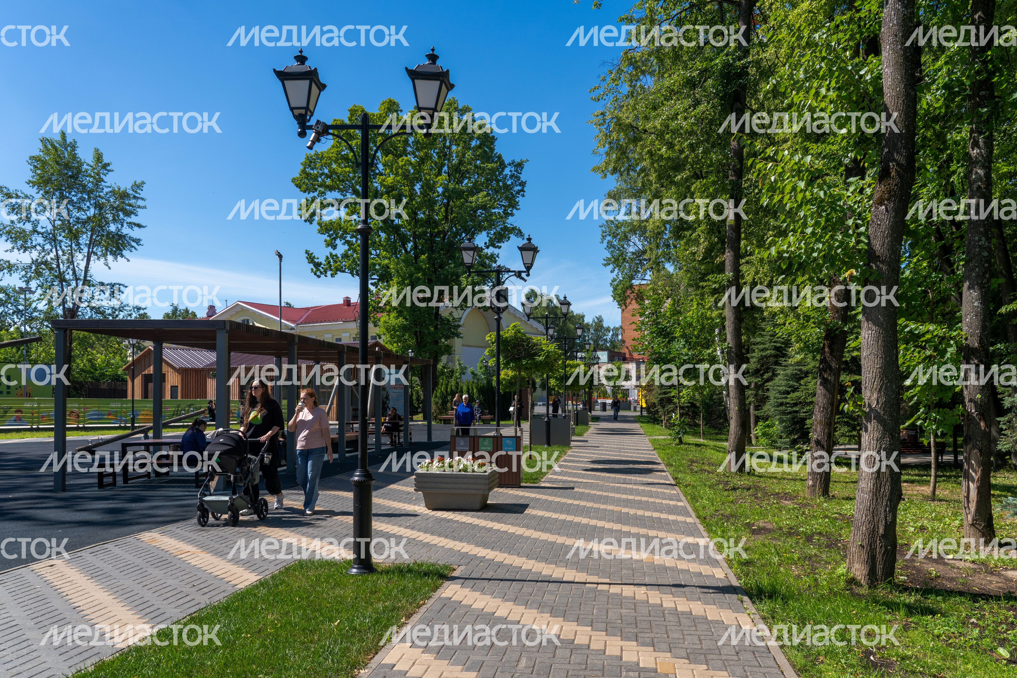 Лето в парке «Фабричный» города Дедовск округа Истра Лето в парке «Фабричный» города Дедовск округа Истра