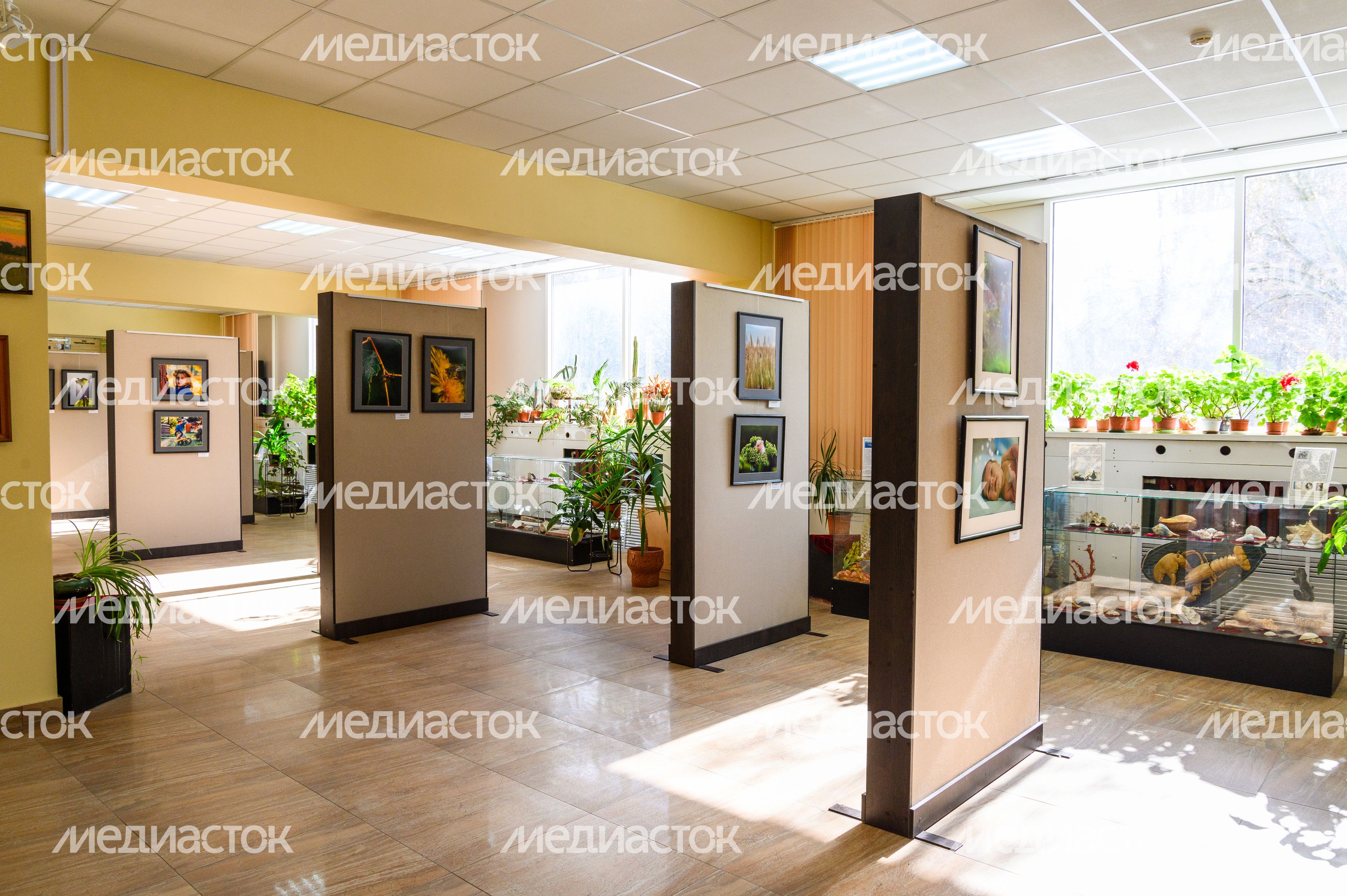 Пущинский музей экологии и краеведения