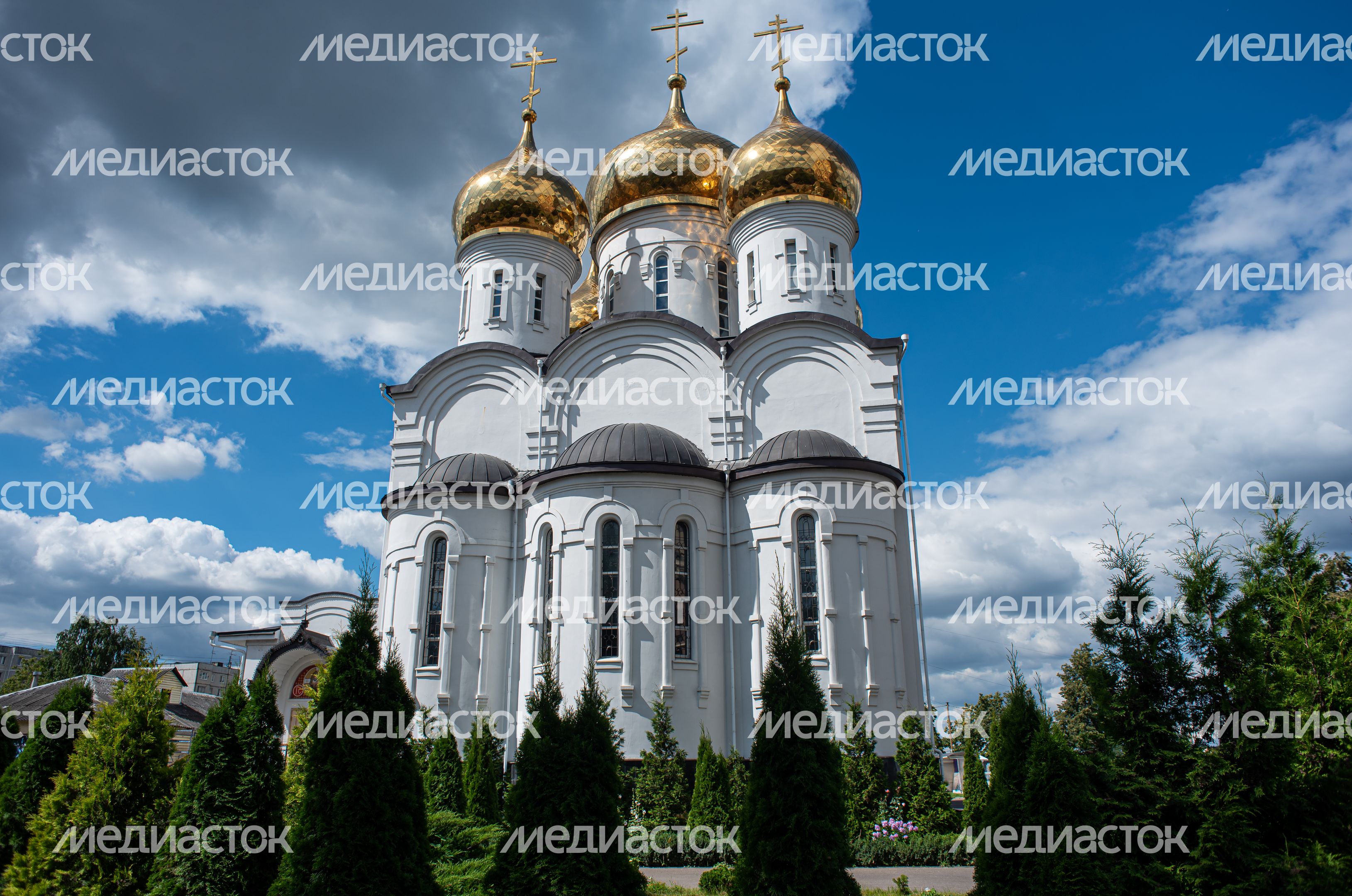 Пантелеимоновский Благовест в городе Жуковский