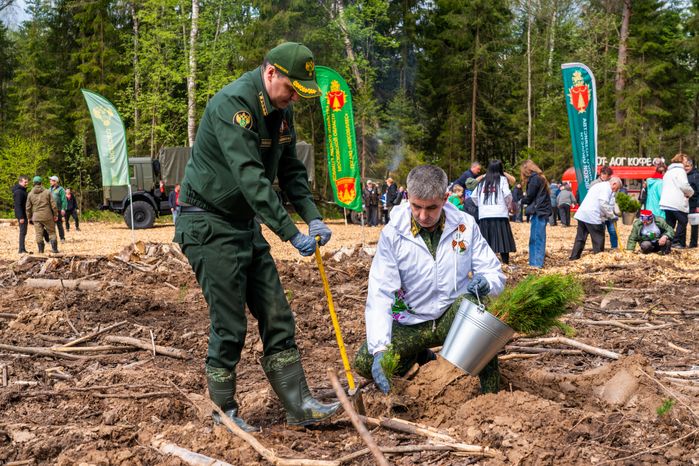 Деревья высадили в Рузском округе в рамках акции «Сад Памяти» ко Дню Победы