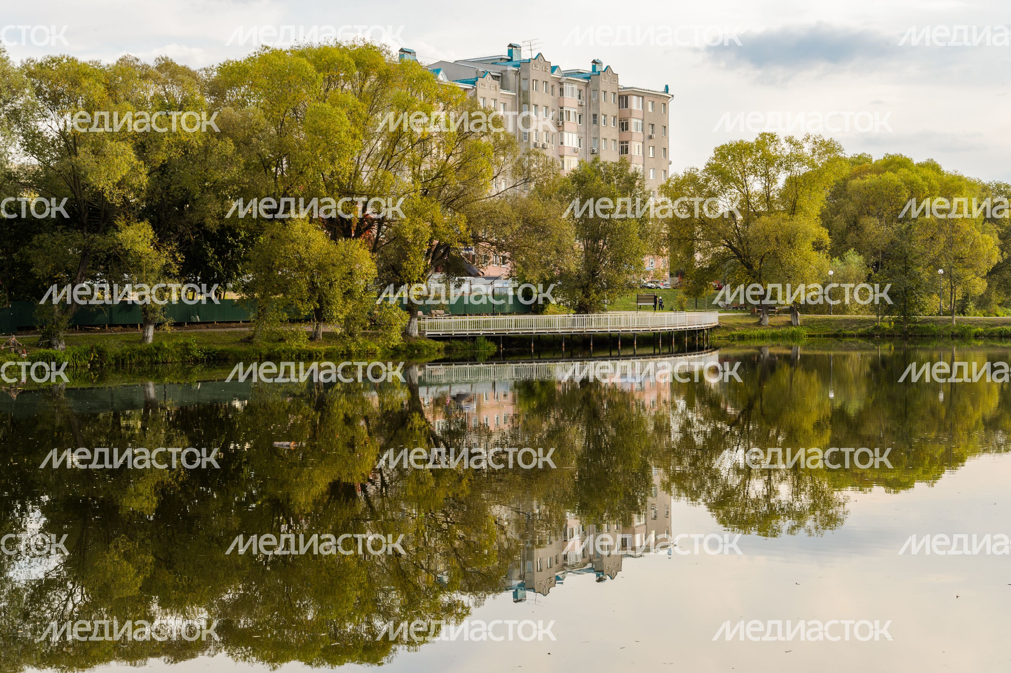 Бронницы. Кожурновский пруд Бронницы. Кожурновский пруд