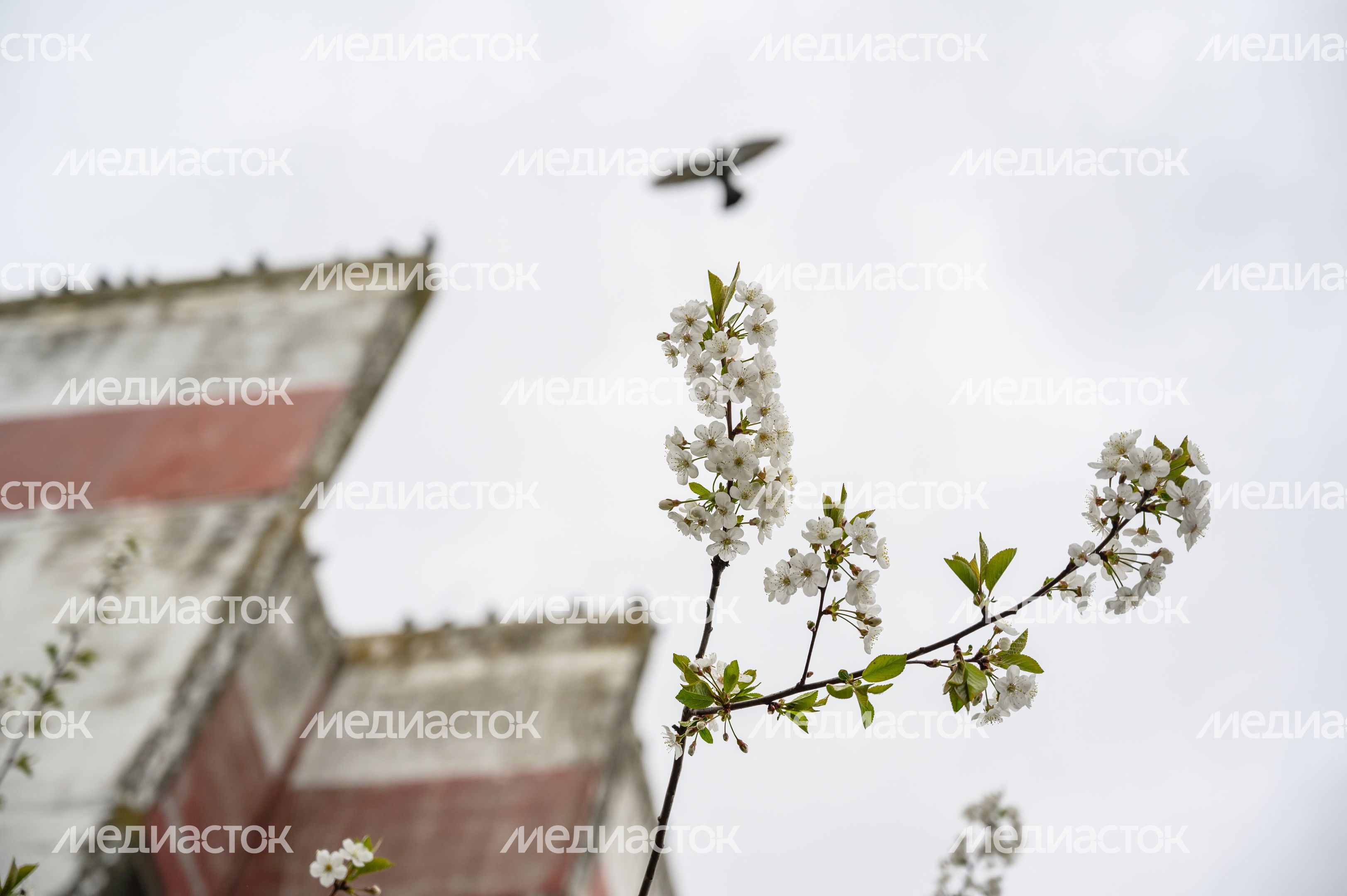 Весна в Ленинском округе Весна в Ленинском округе