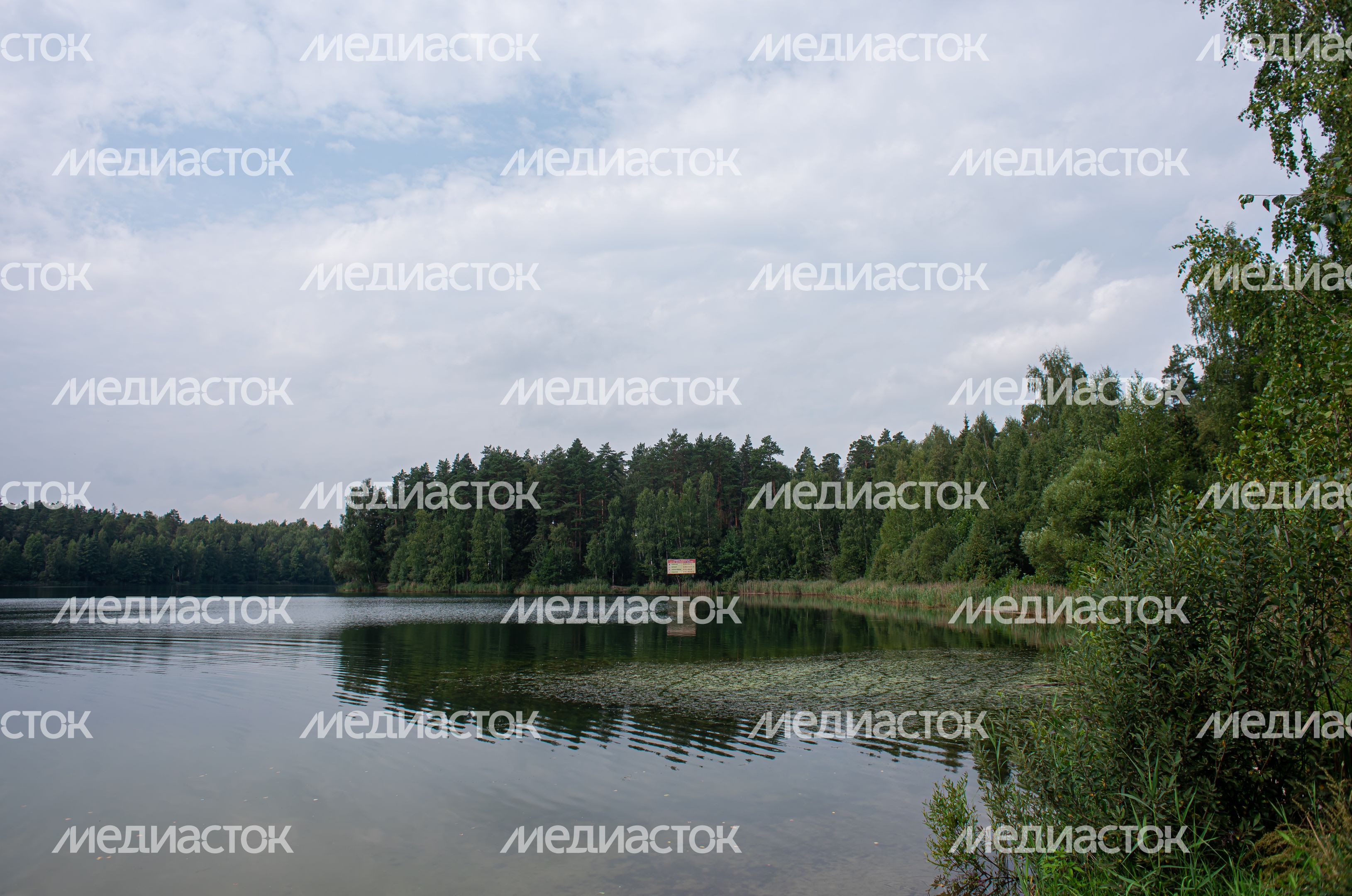 Летние виды города Черноголовка