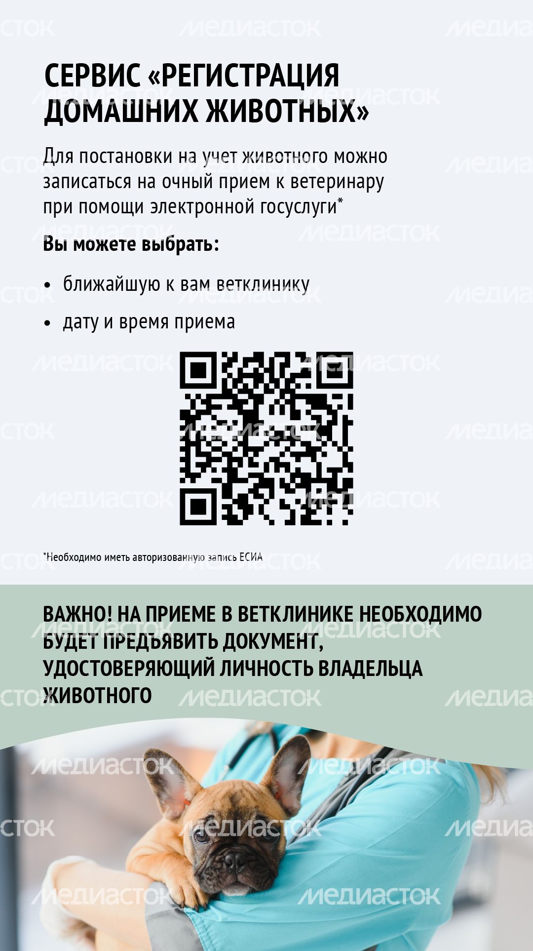 Зарегистрировать домашнее животное ред 2-вертикаль-06.png
