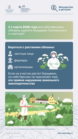 Борьба с борщевиком вертикаль 02