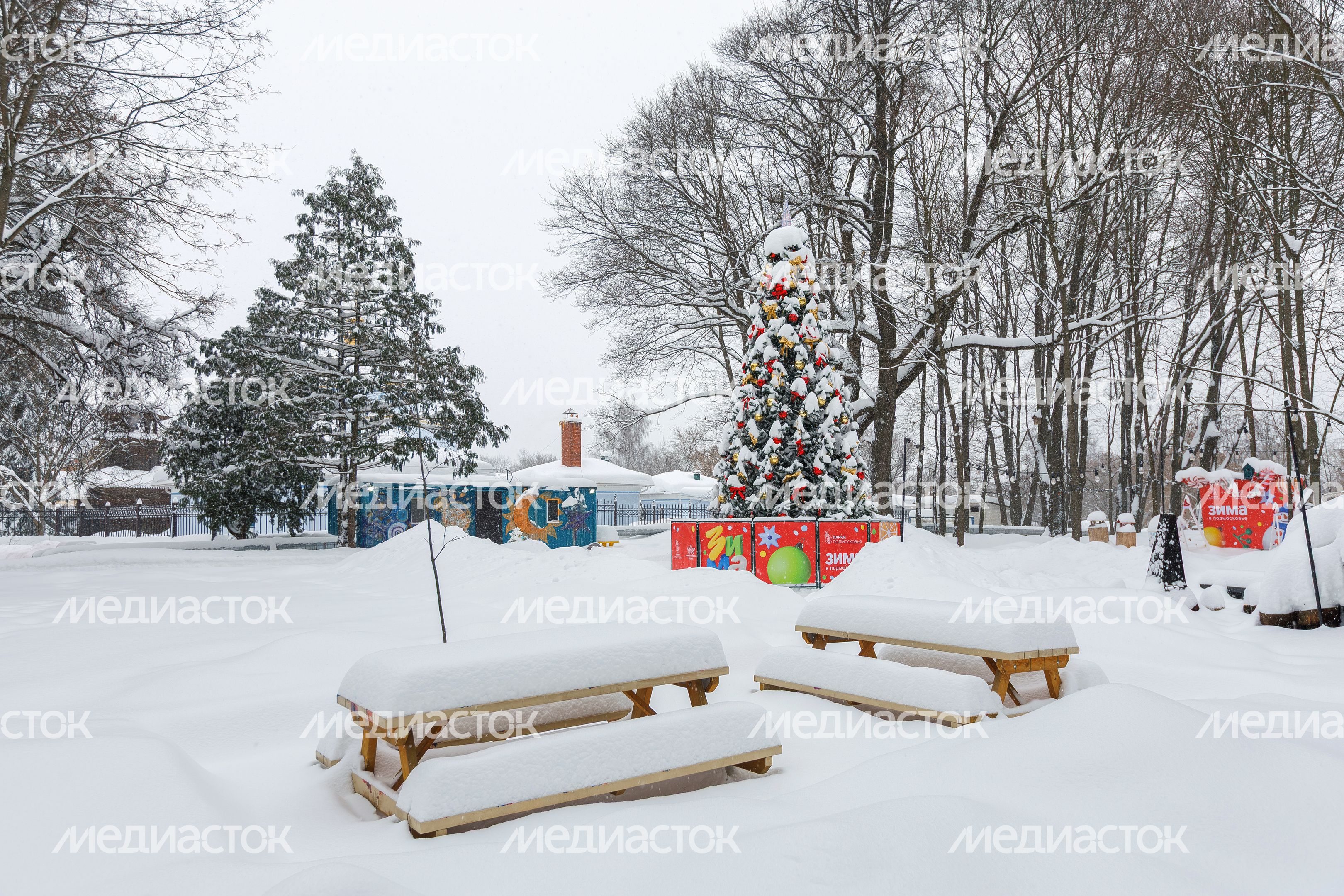 Зима в Лосино-Петровском парке Зима в Лосино-Петровском парке