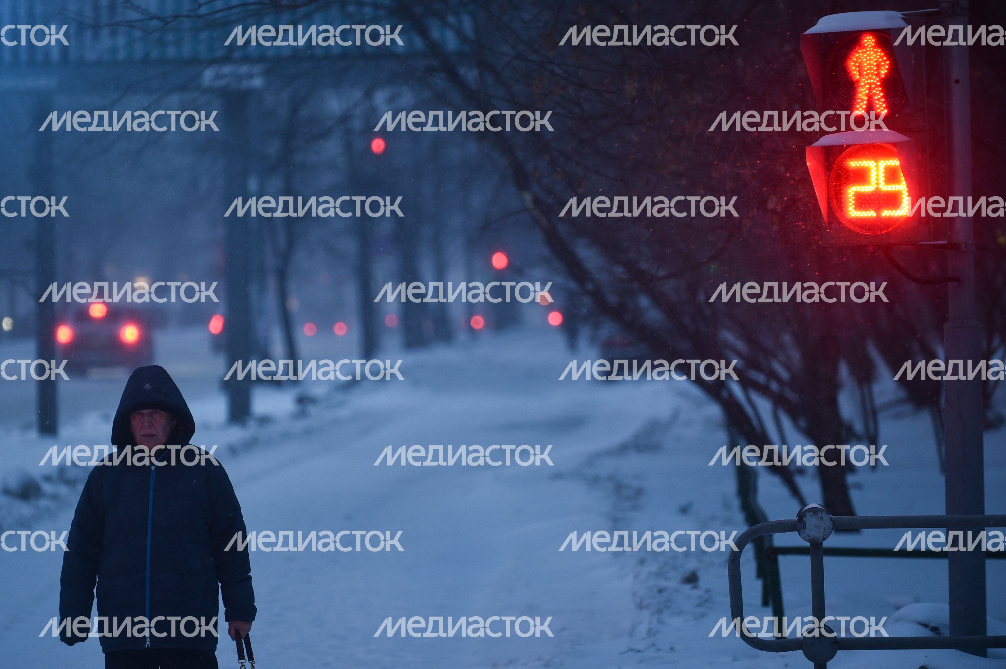Первая метель