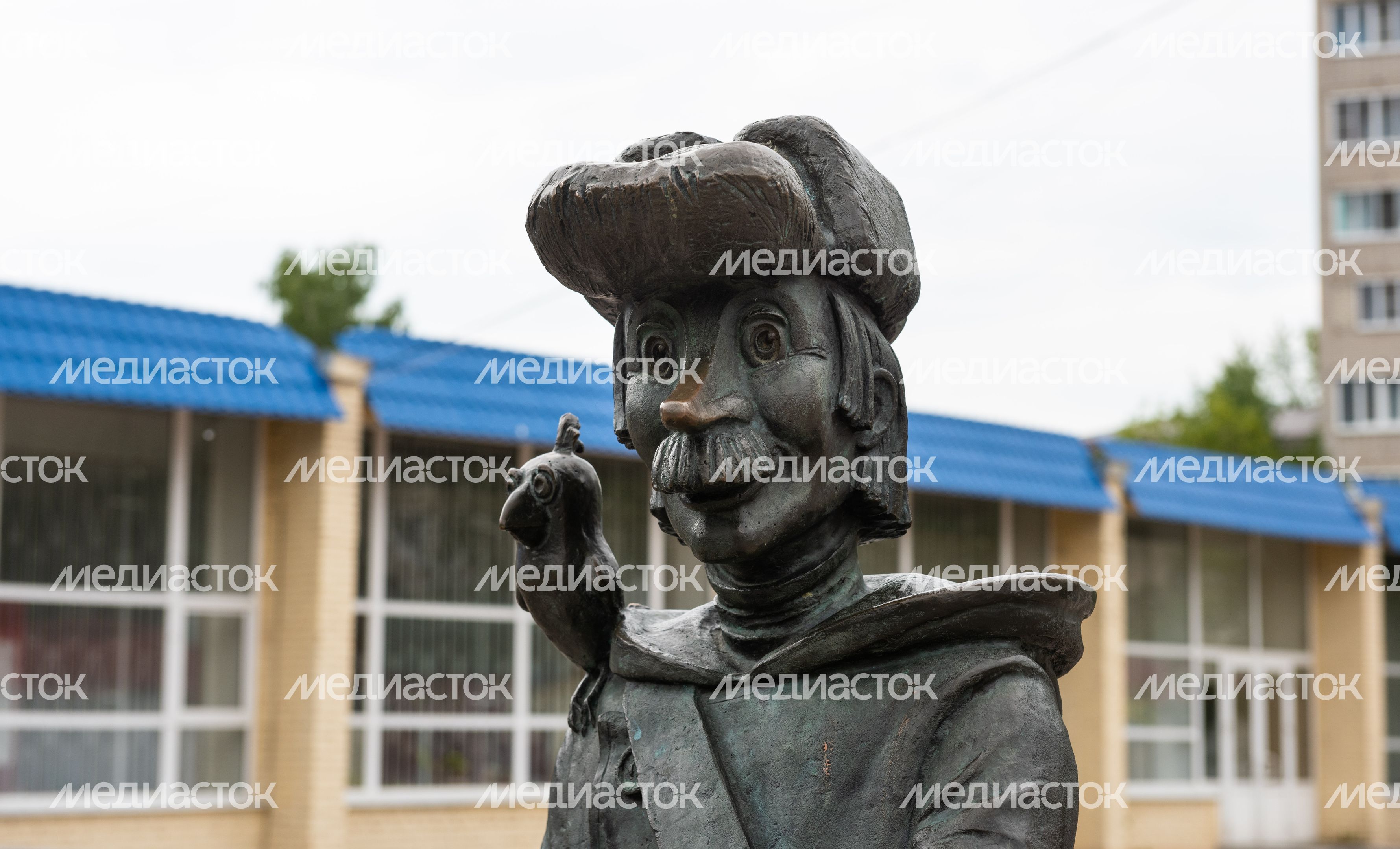 Виды города Луховицы