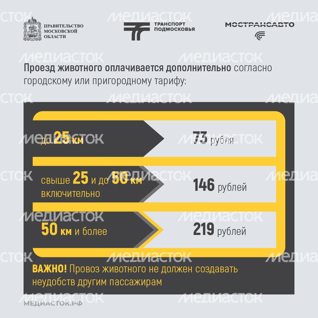 Правила перевозки животных квадрат 06