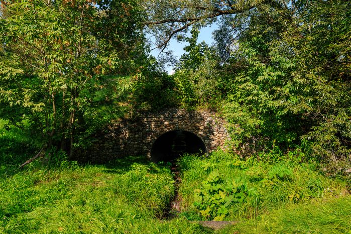 Парк «Лукоморье» в Рузе летом