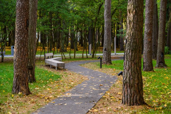 Жуковский парк культуры и отдыха осенью