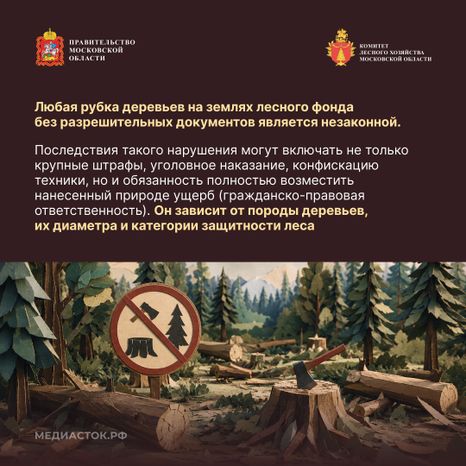 Незаконная рубка квадрат 09