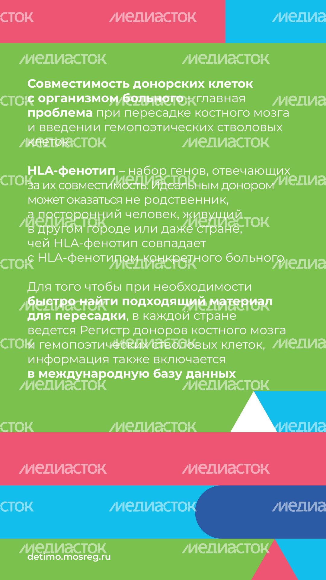 как_стать_донором_костного_мозга__вертикаль_05.jpg