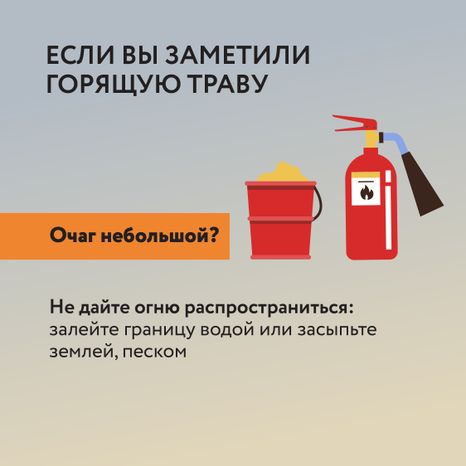 Пал травы