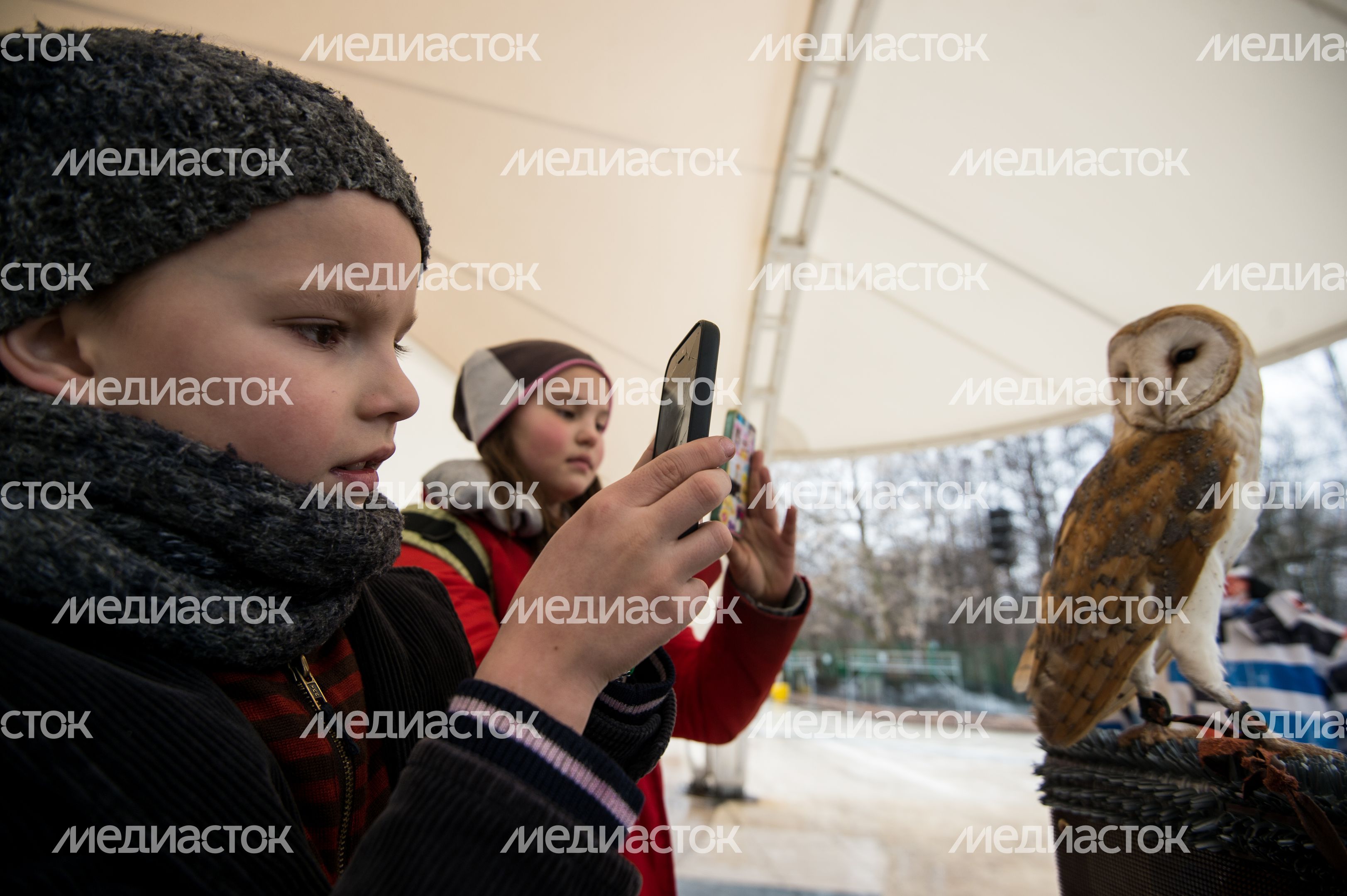 Выбор птицы года в парке Сокольники в Москве Выбор птицы года в парке Сокольники в Москве