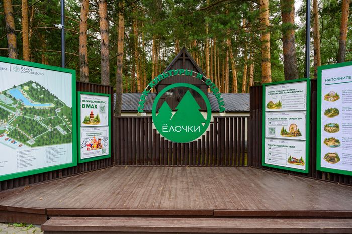 Лето в парке «Елочки» Домодедово