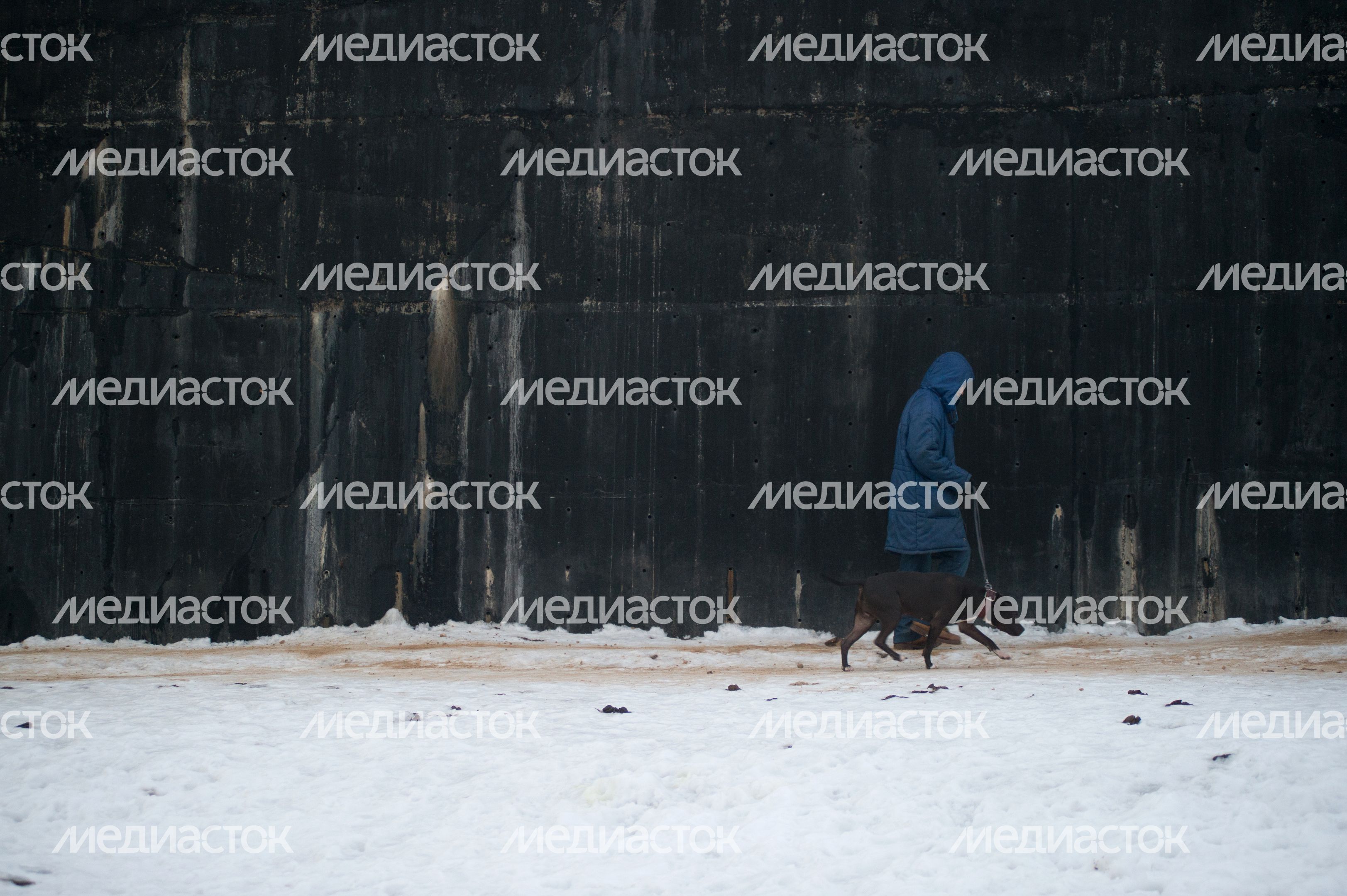 Шереметьевский приют для собак в Химках