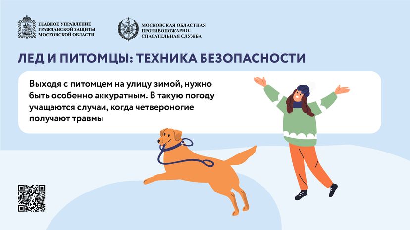 помощь усатым - горизонталь - 03