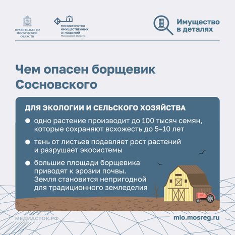 Борьба с борщевиком квадрат 05