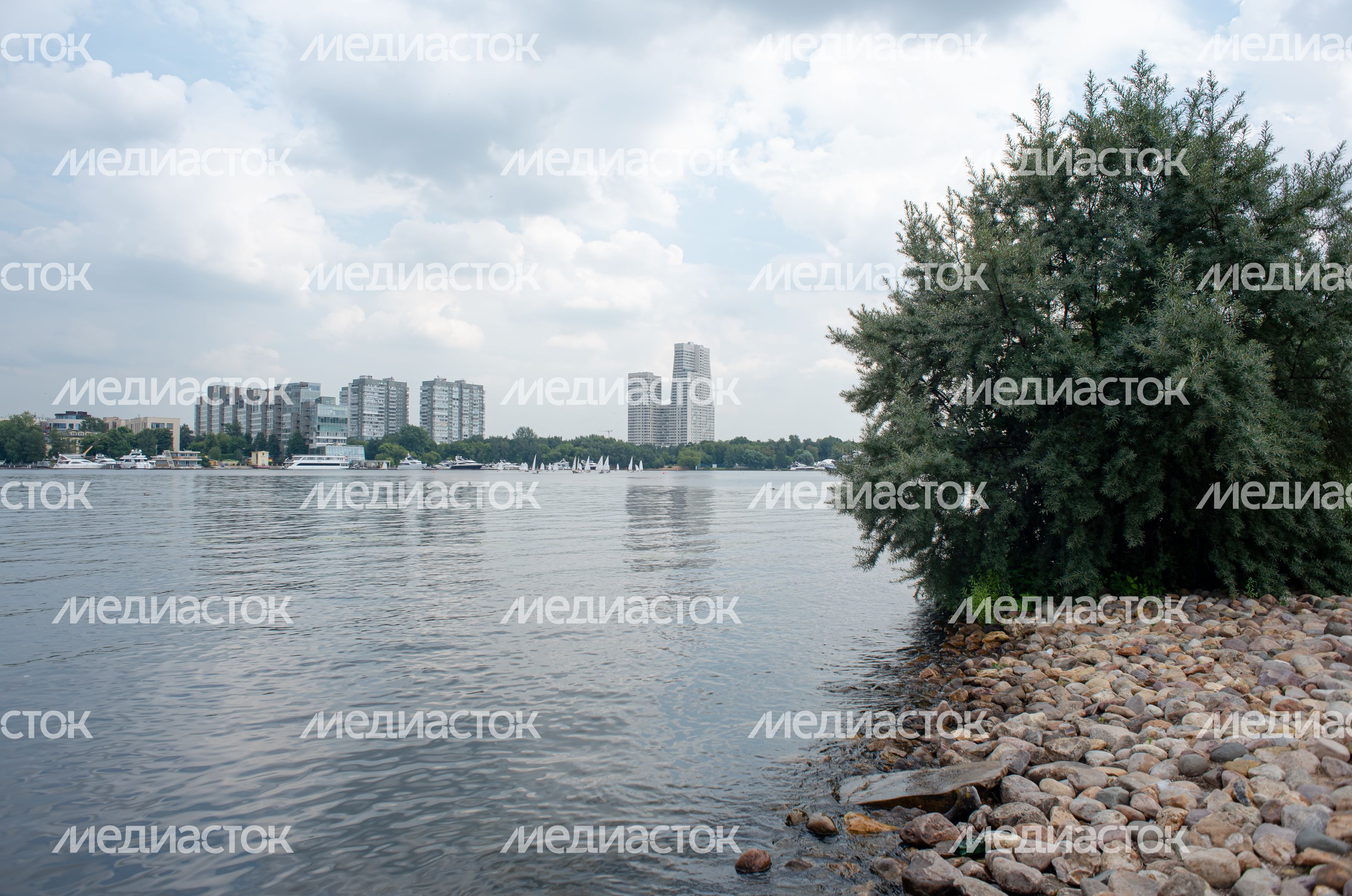 Летние виды Химкинского водохранилища