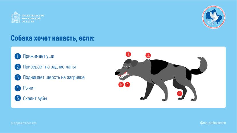 Осторожно злая собака горизонталь 05