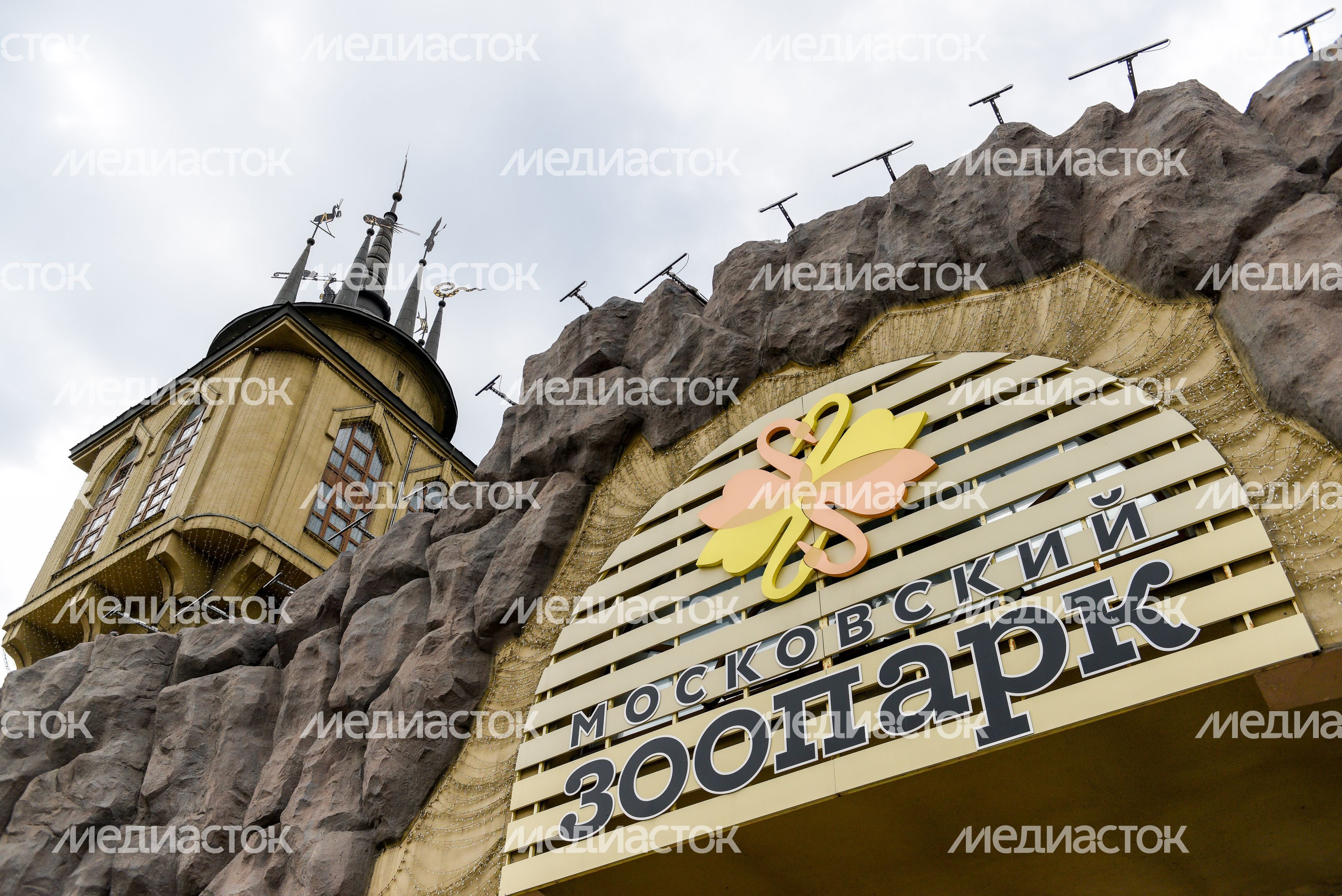 Подготовка к открытию Московского зоопарка после режима самоизоляции