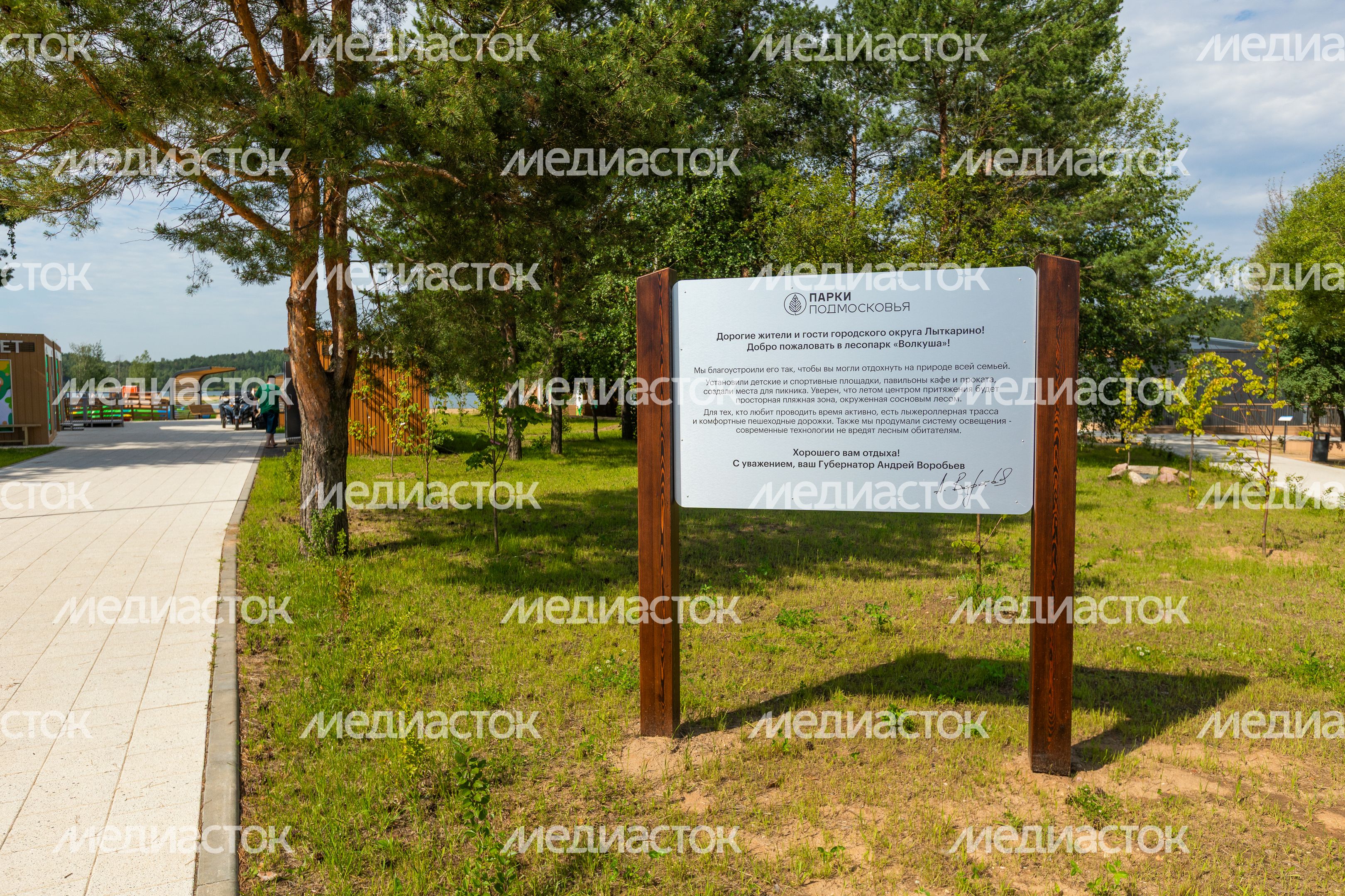 Благоустройство лесопарка «Волкуша» в 2025 году в Лыткарино