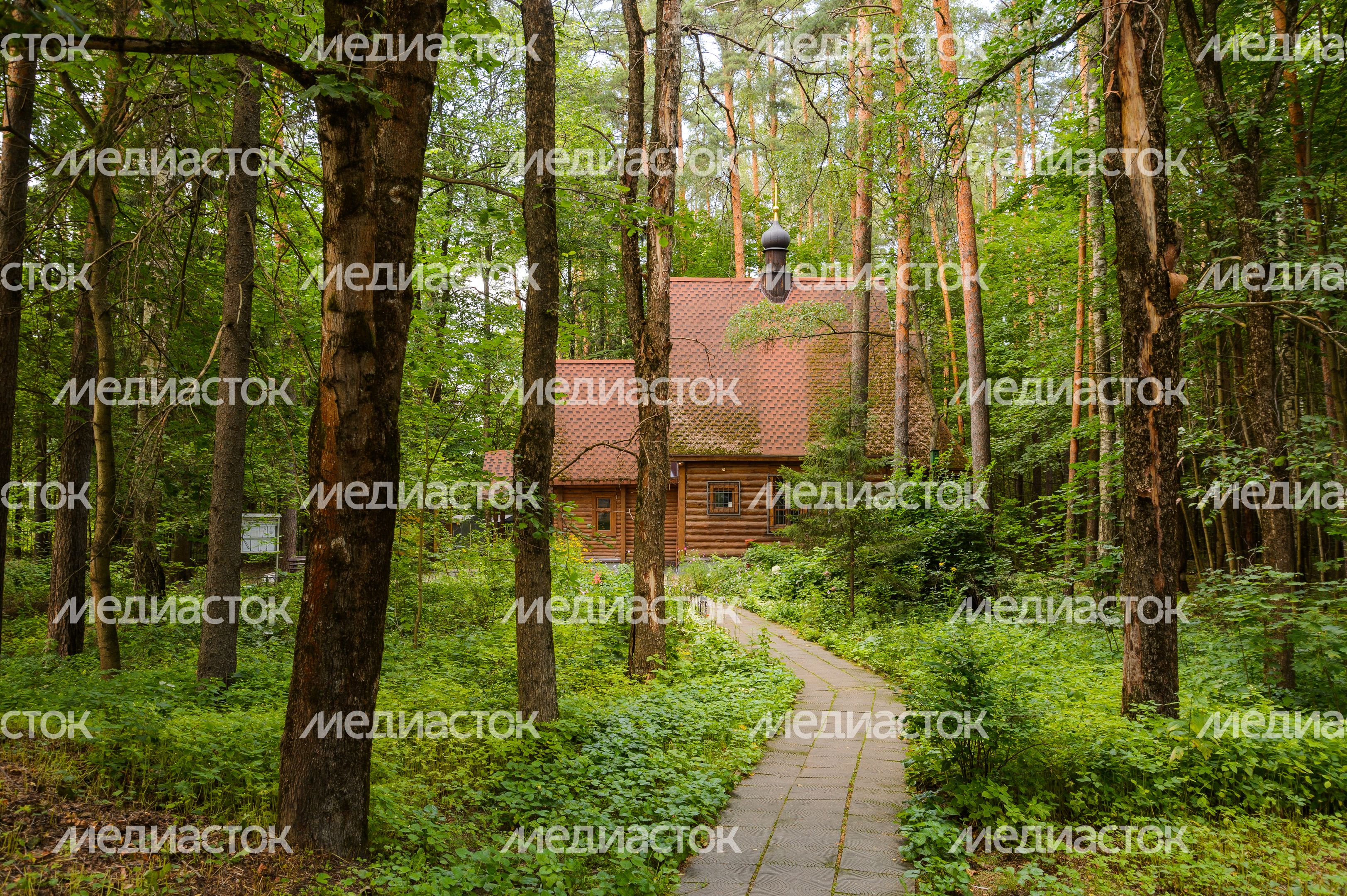 Черноголовка. Церковь Великомученика Пантелеймона