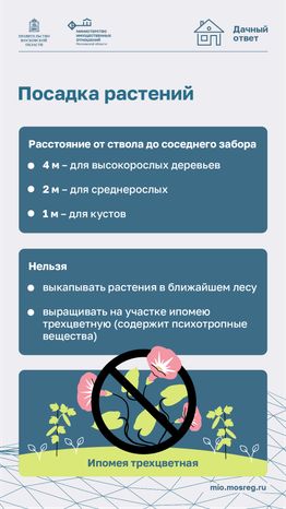 Дачный сезон штрафы-вертикаль-06