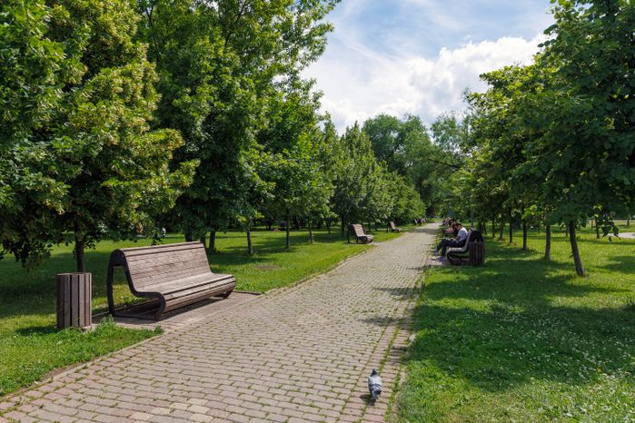 Центральный парк Реутова летом