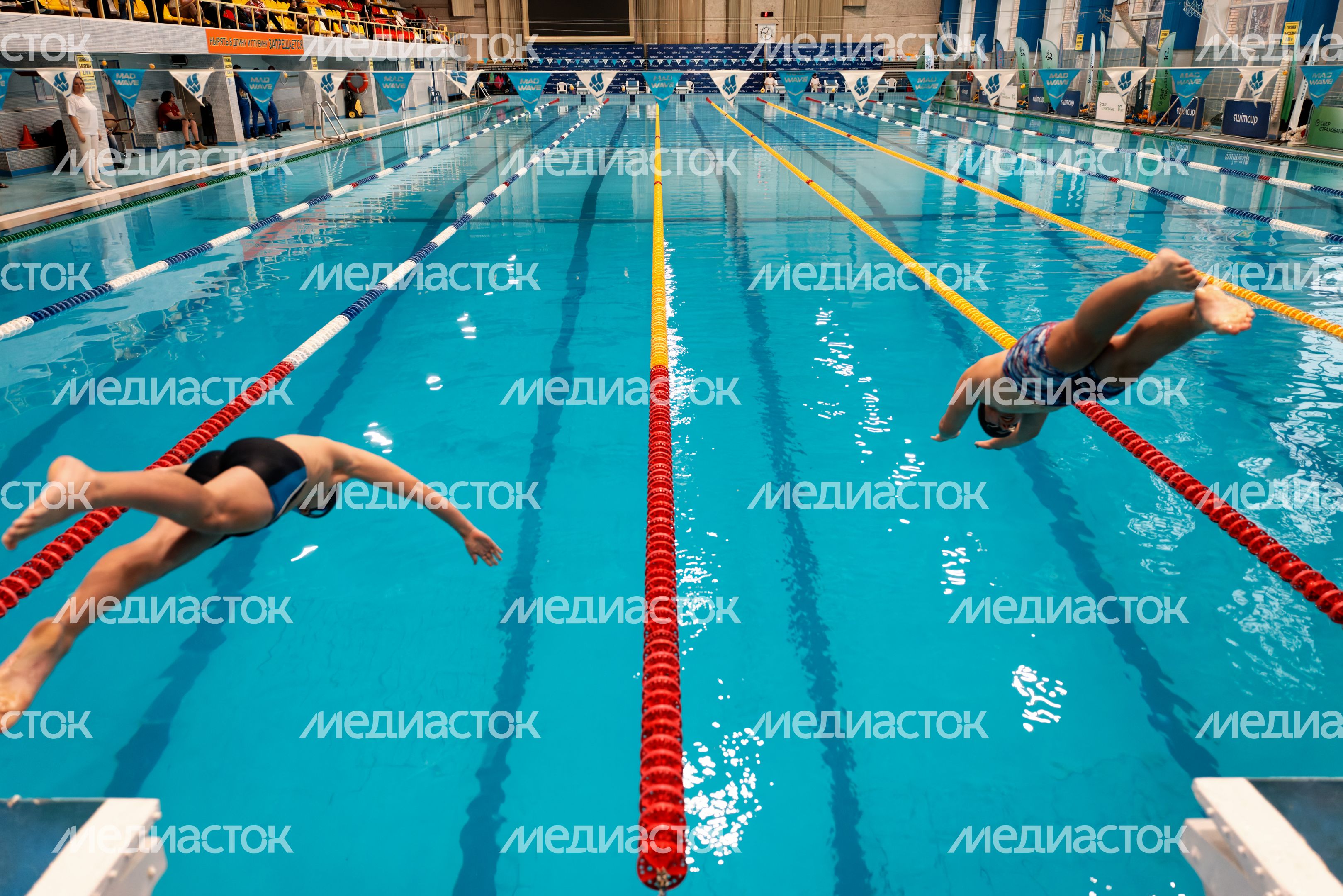 Первый турнир нового сезона Кубка чемпионов Swimcup по плаванию Первый турнир нового сезона Кубка чемпионов Swimcup по плаванию