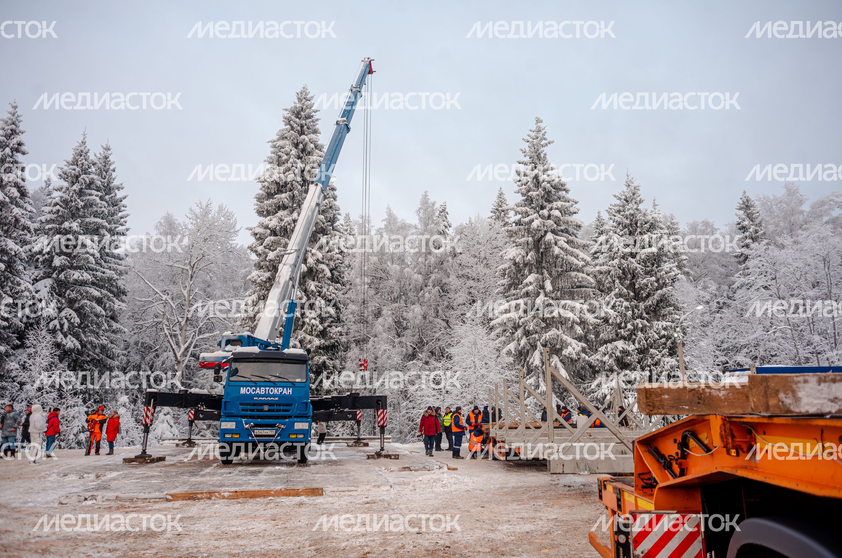 Рубка главной новогодней елки страны