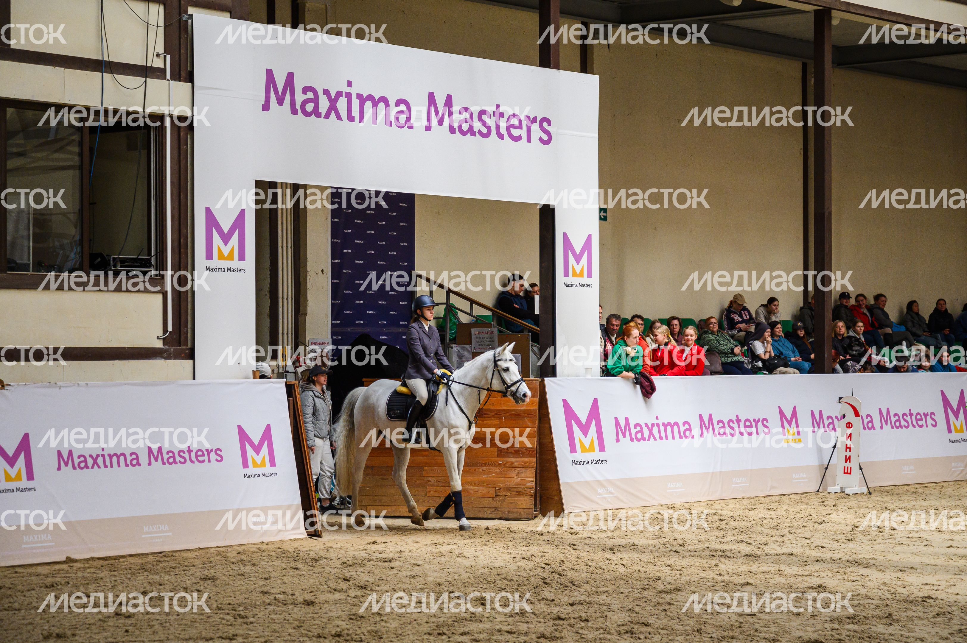 Конноспортивное шоу в Maxima Park в Дмитровском округе