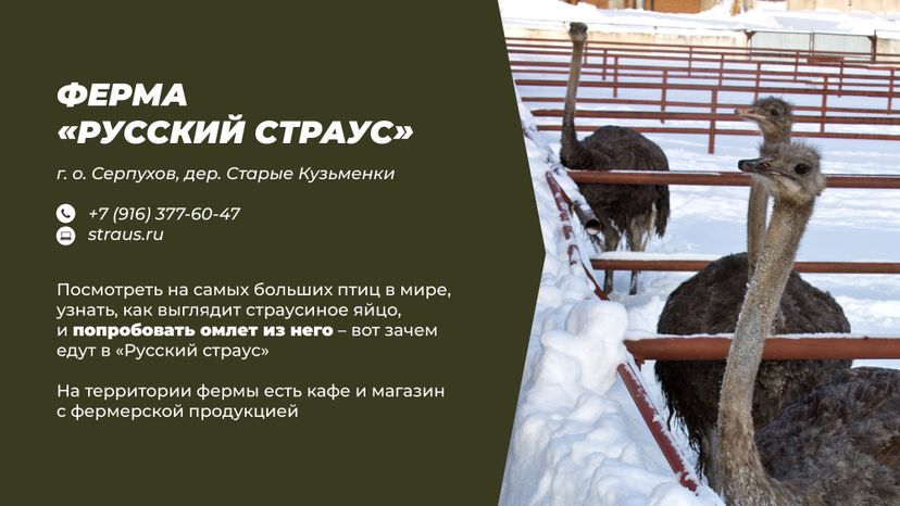Фермы с животными