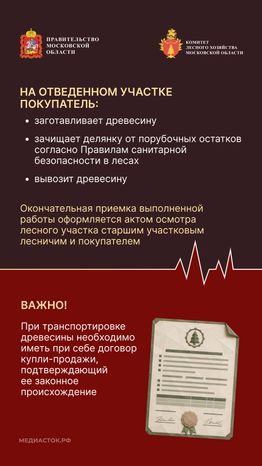 Как заготовить древесину вертикаль 10