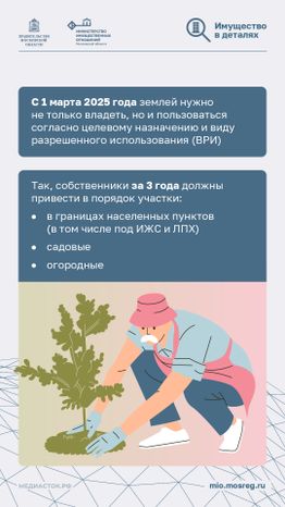 Освоение участка за 3 года вертикаль 02