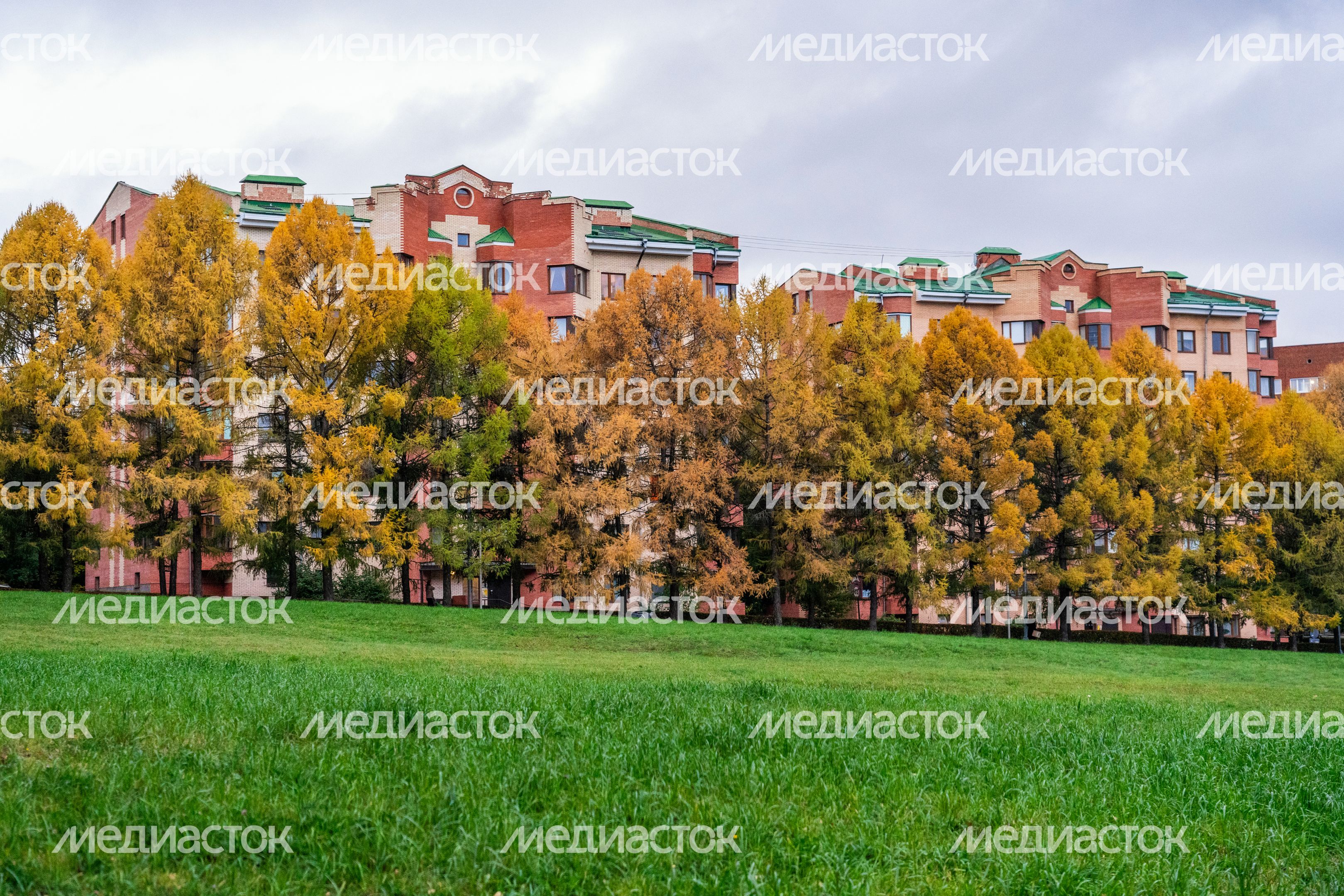 Пущино. Виды осеннего города Пущино. Виды осеннего города