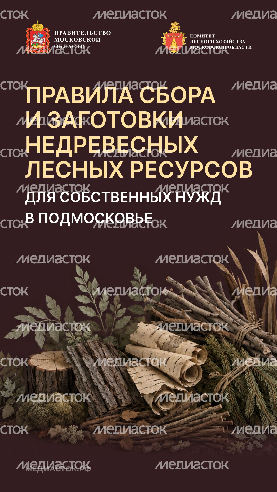 Недревесные ресурсы для собственных нужд Вертикаль 01