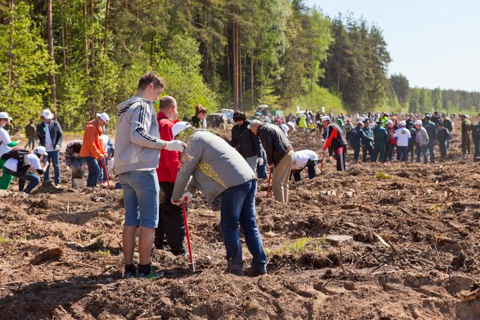 Акция «Лес Победы» в Раменском
