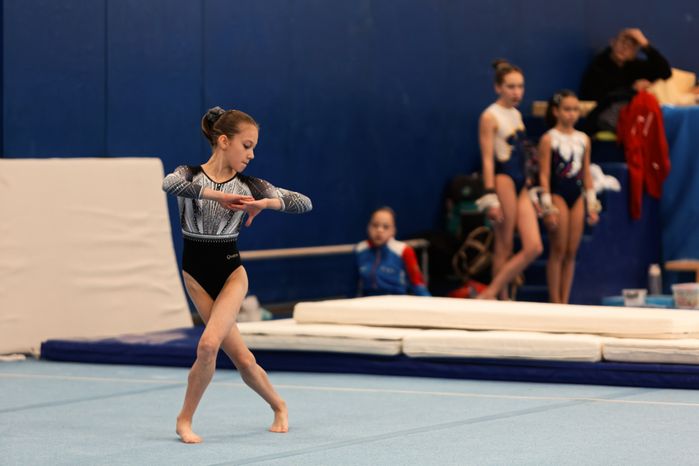 Чемпионат Московской области по спортивной гимнастике в Наро-Фоминске